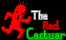 TheRedCactuar's Avatar