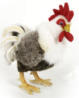 Magic E-Mail Chicken's Avatar