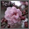 Teif's Avatar