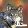 LoBo's Avatar