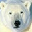 polarbear's Avatar