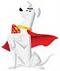 Krypto The Superdog's Avatar